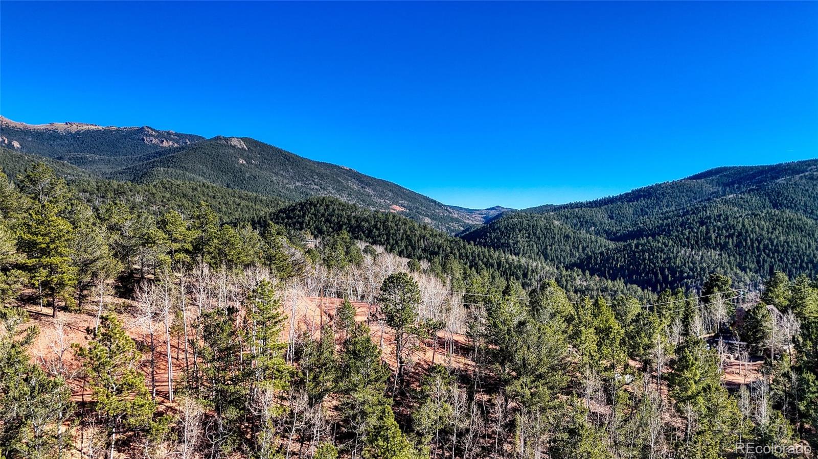80 Beaver Pond Road Divide CO 80814