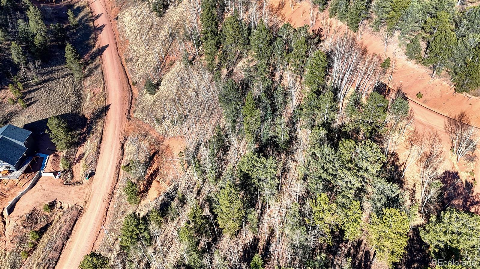80 Beaver Pond Road Divide CO 80814