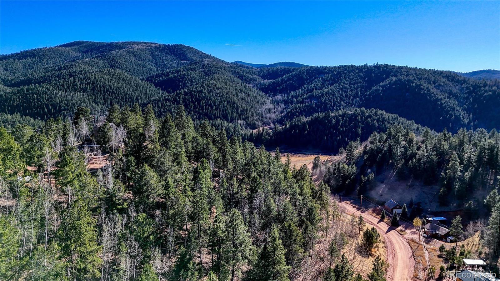 80 Beaver Pond Road Divide CO 80814