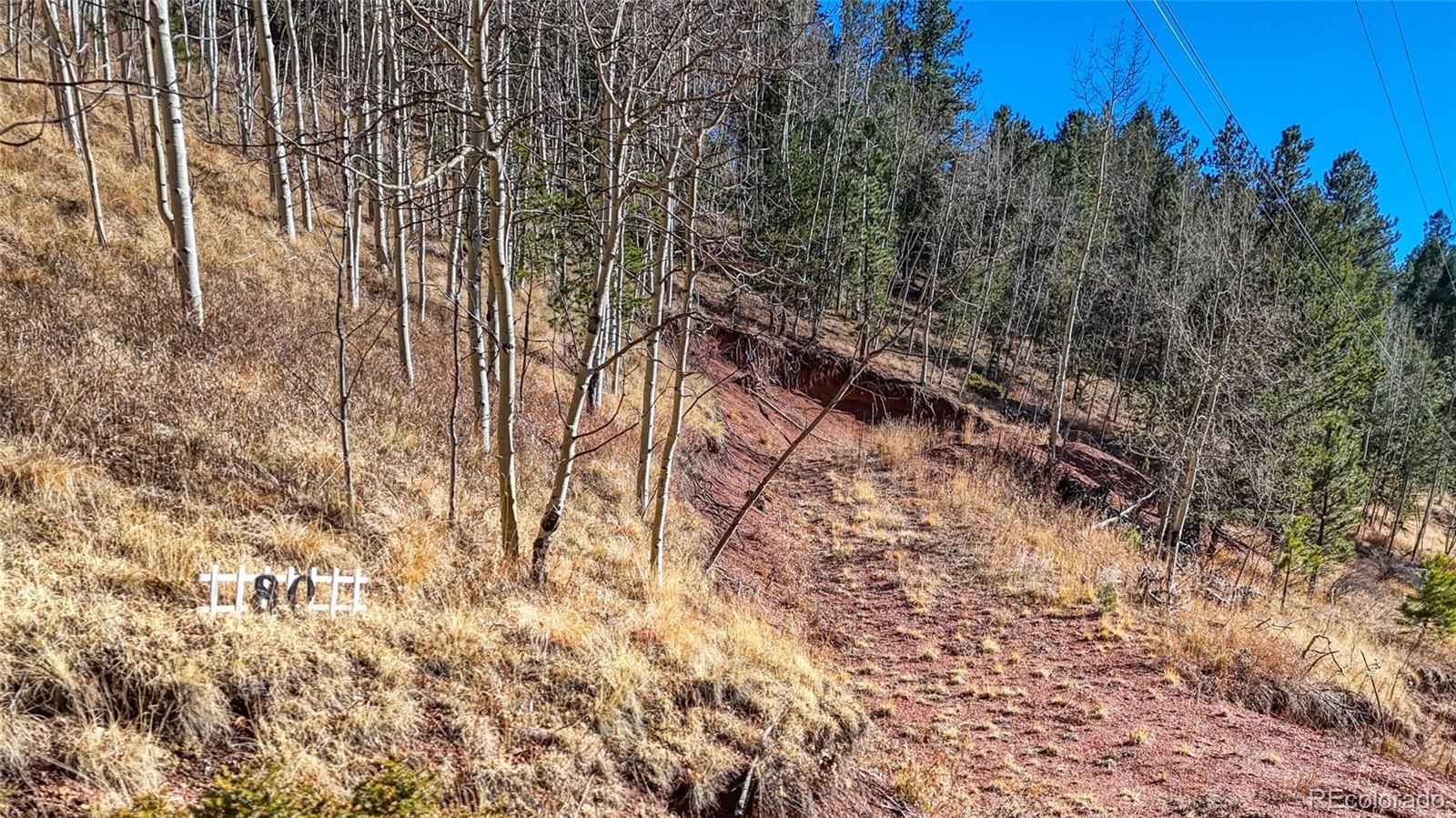 80 Beaver Pond Road Divide CO 80814