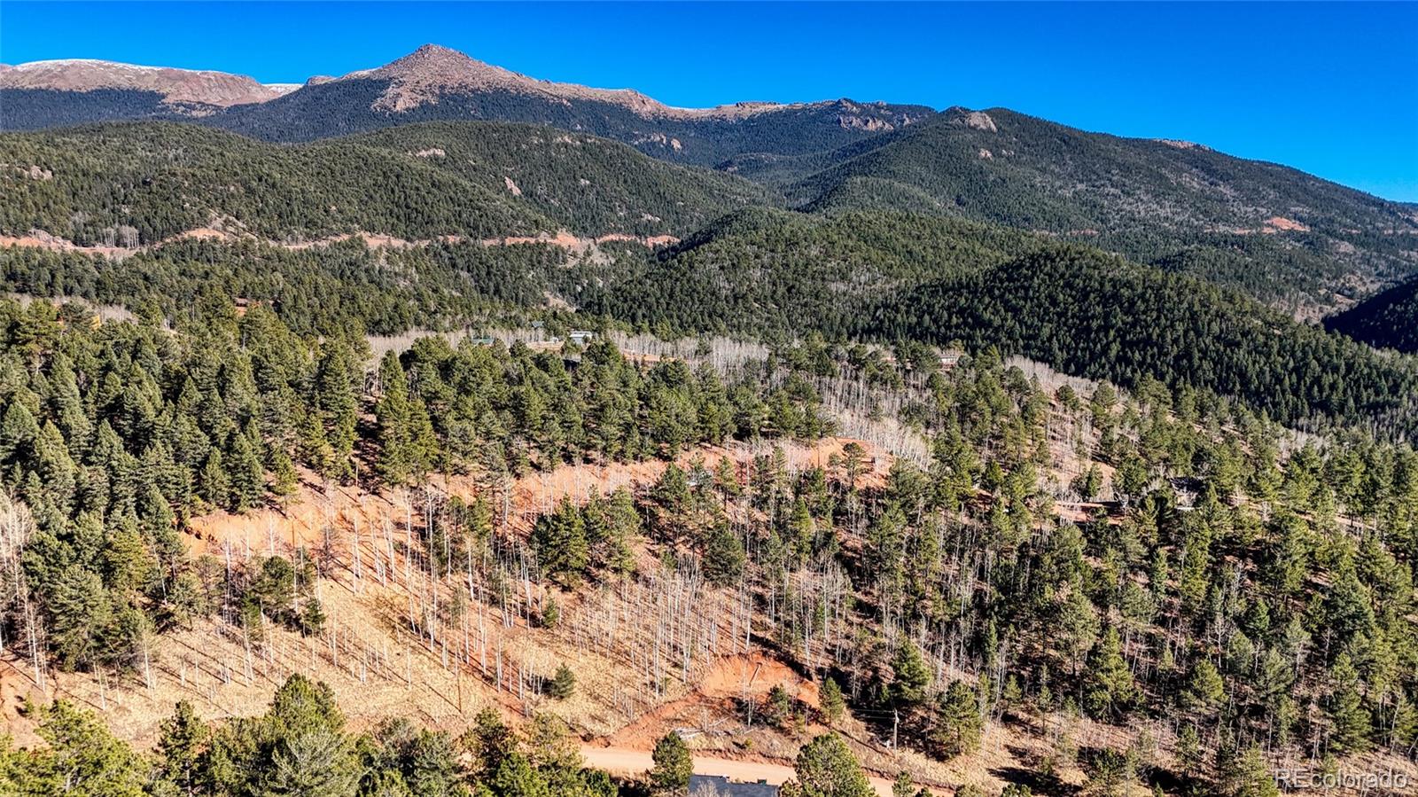 80 Beaver Pond Road Divide CO 80814