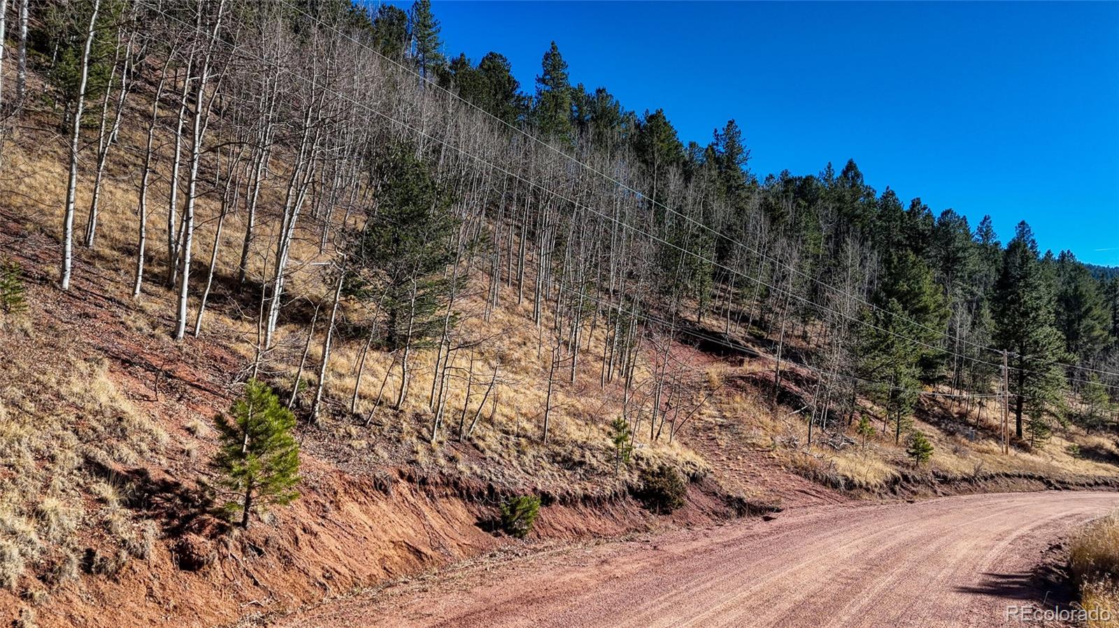 80 Beaver Pond Road Divide CO 80814