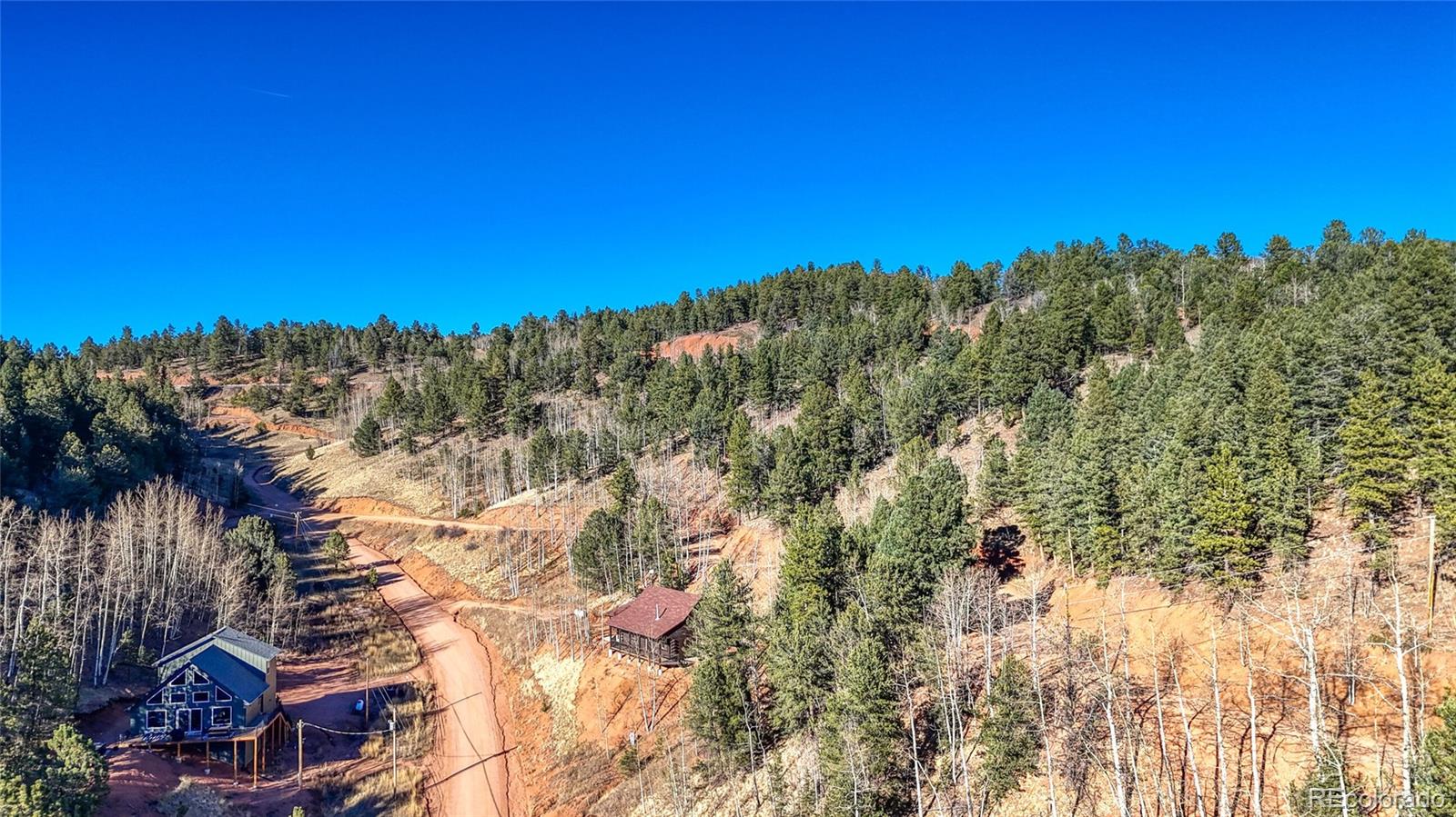 80 Beaver Pond Road Divide CO 80814