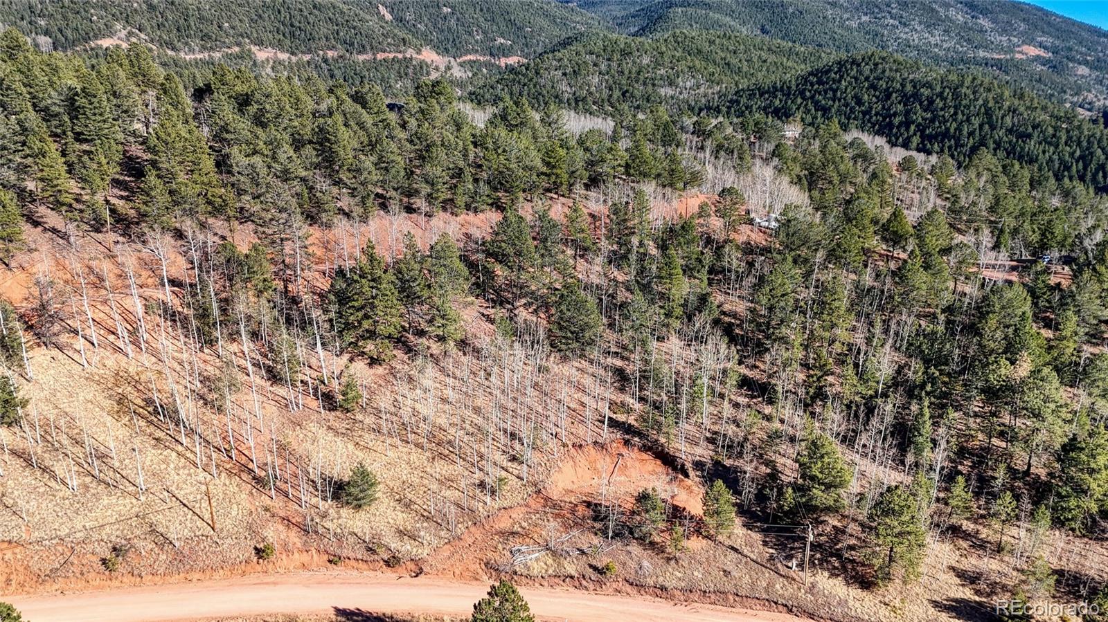 80 Beaver Pond Road Divide CO 80814
