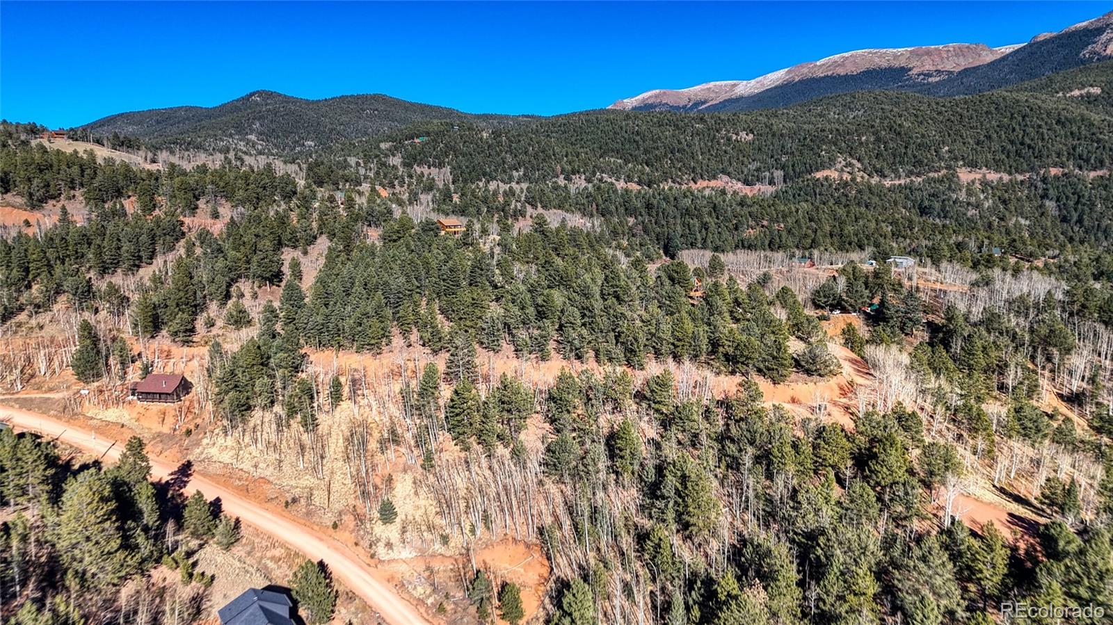 80 Beaver Pond Road Divide CO 80814