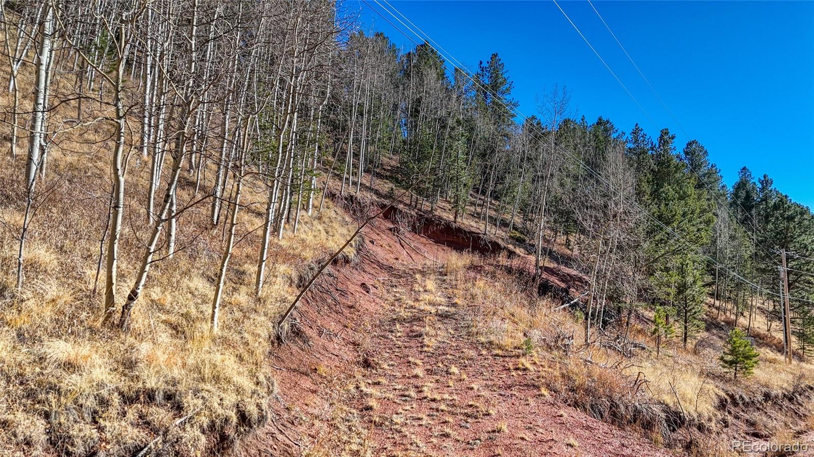 80 Beaver Pond Road Divide CO 80814