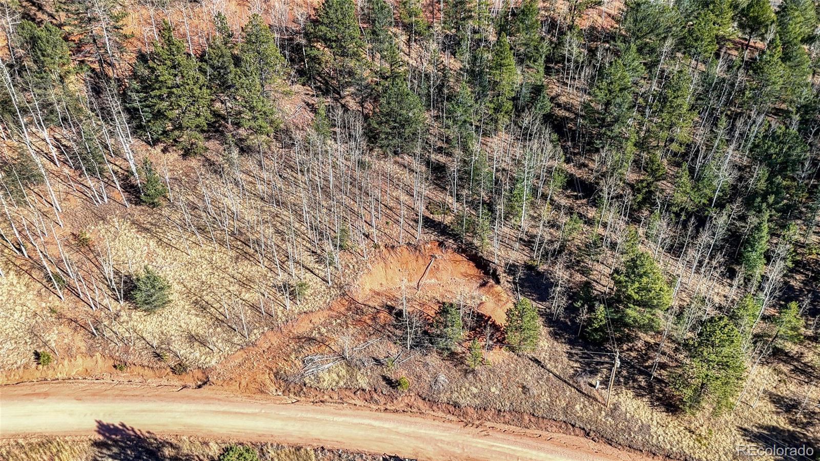 80 Beaver Pond Road Divide CO 80814