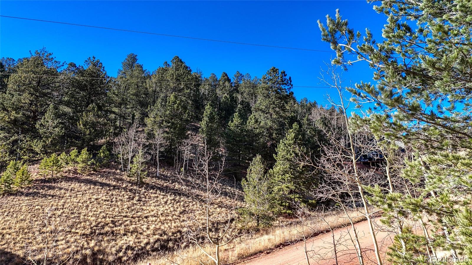 80 Beaver Pond Road Divide CO 80814