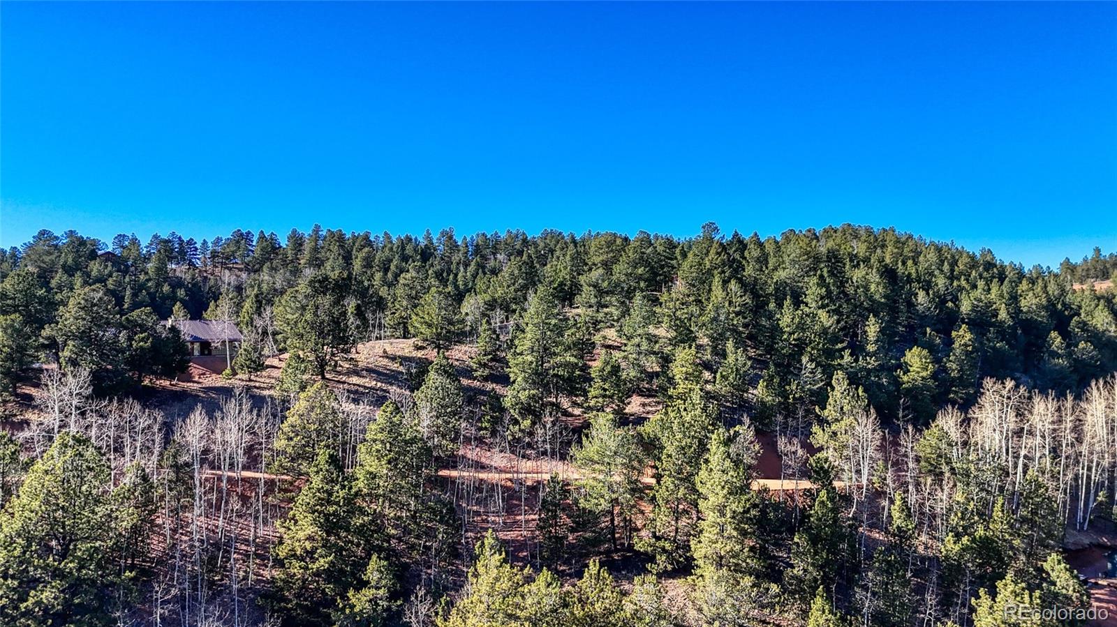 80 Beaver Pond Road Divide CO 80814