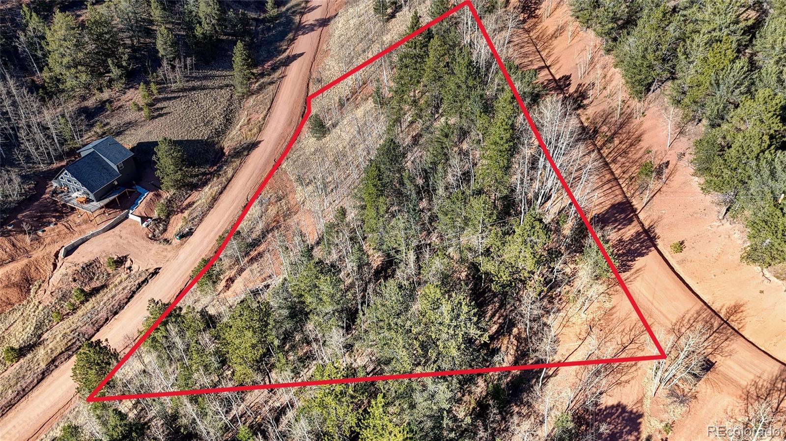 80 Beaver Pond Road Divide CO 80814