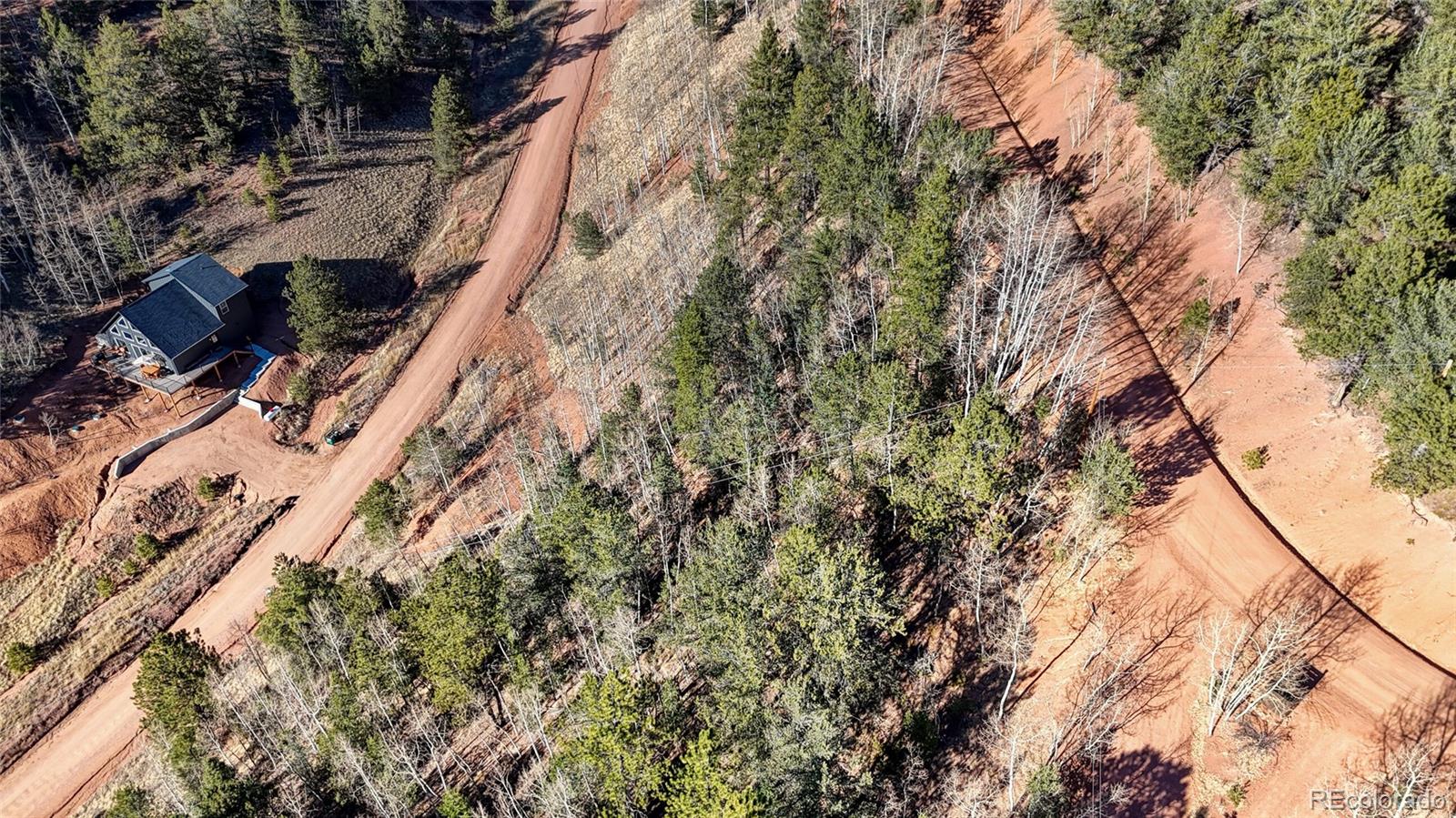80 Beaver Pond Road Divide CO 80814