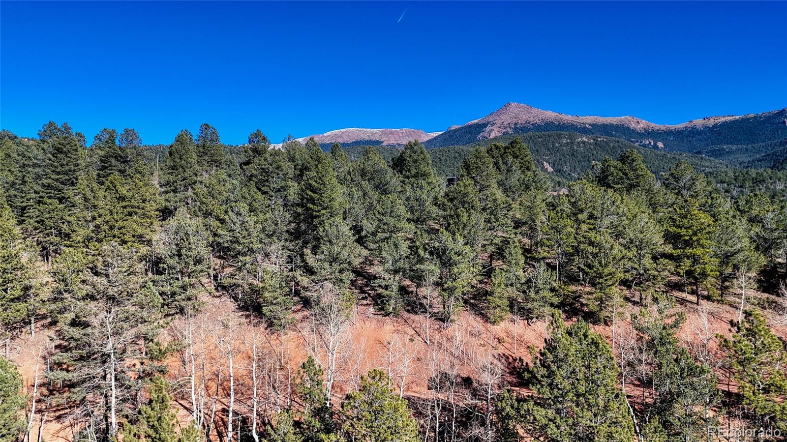 80 Beaver Pond Road Divide CO 80814