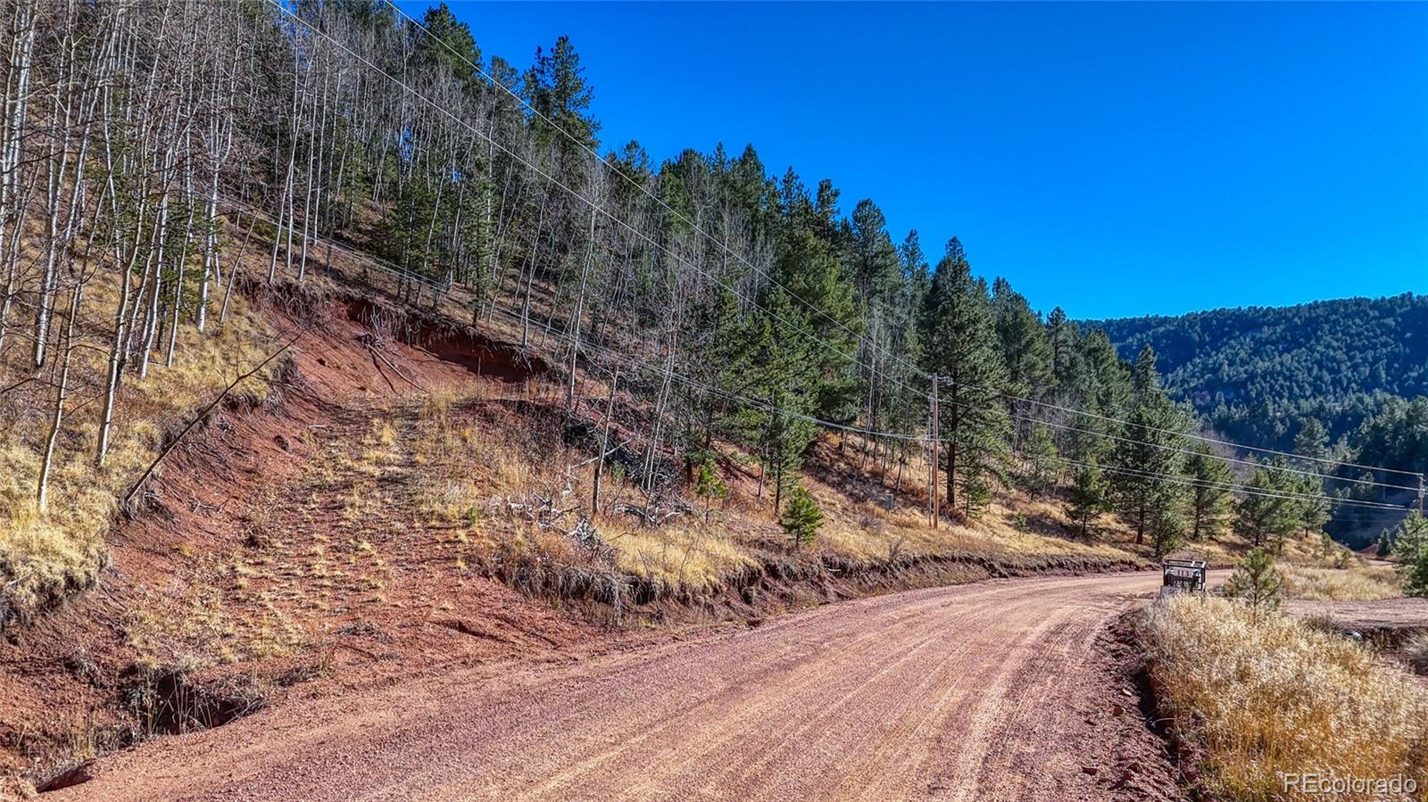 80 Beaver Pond Road Divide CO 80814