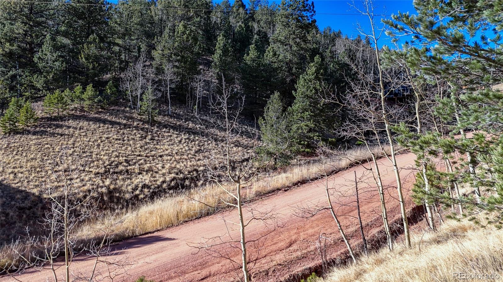 80 Beaver Pond Road Divide CO 80814