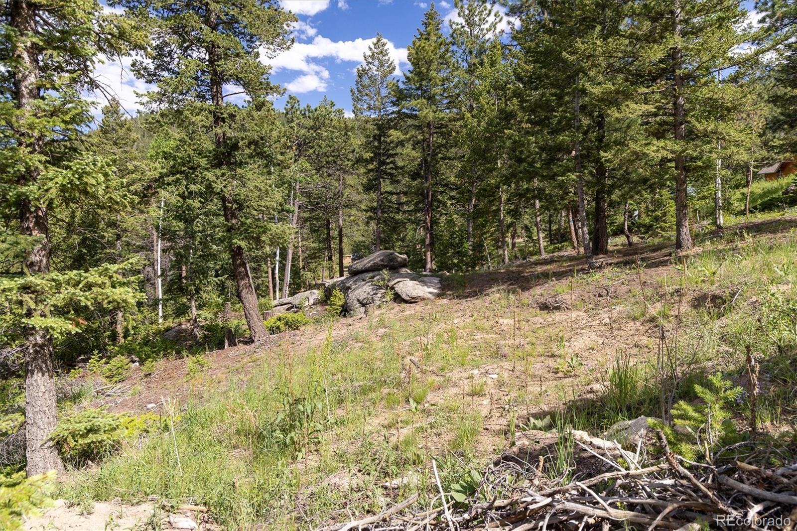 31429 Burke Road Golden CO 80403