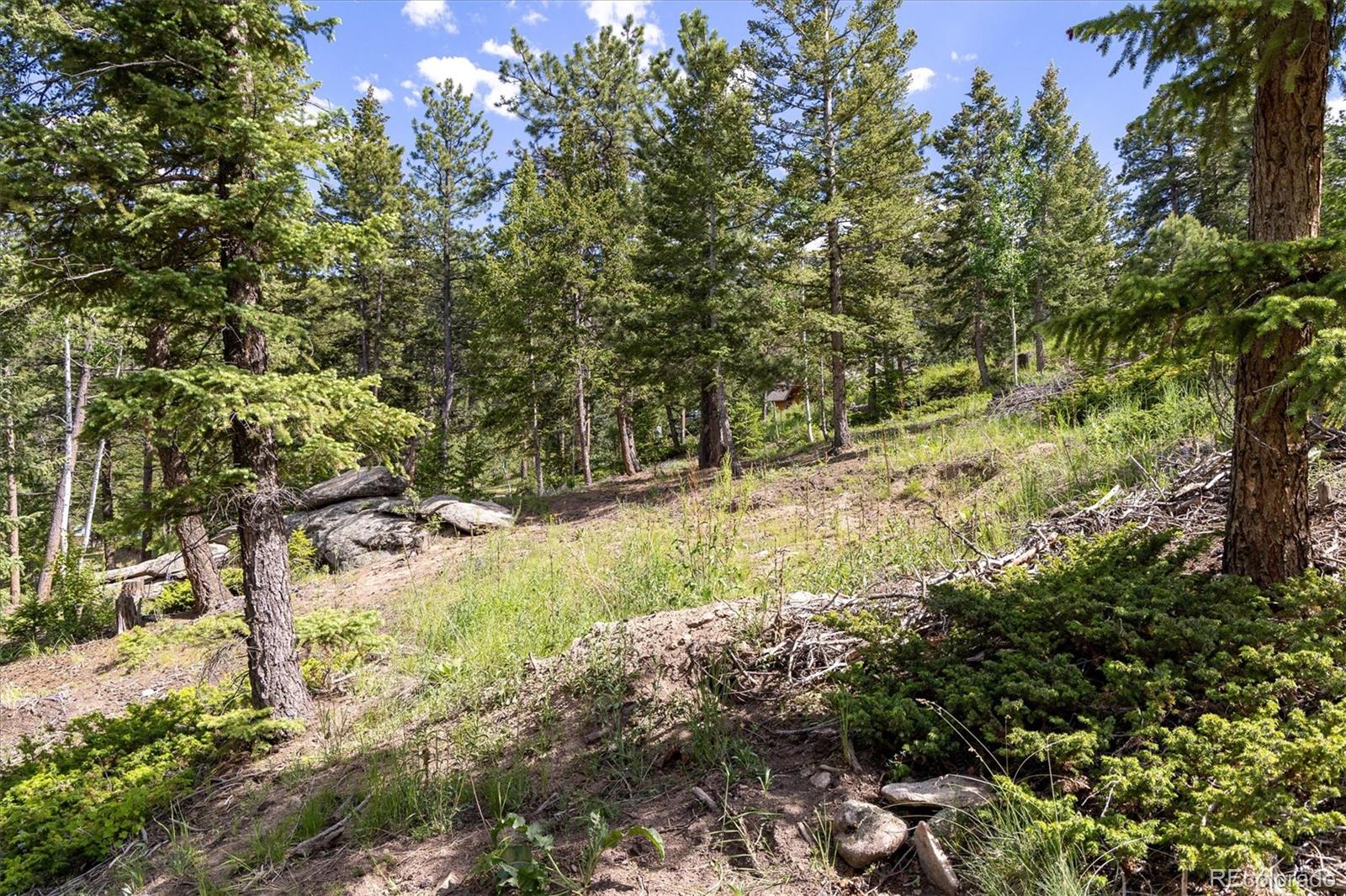 31429 Burke Road Golden CO 80403
