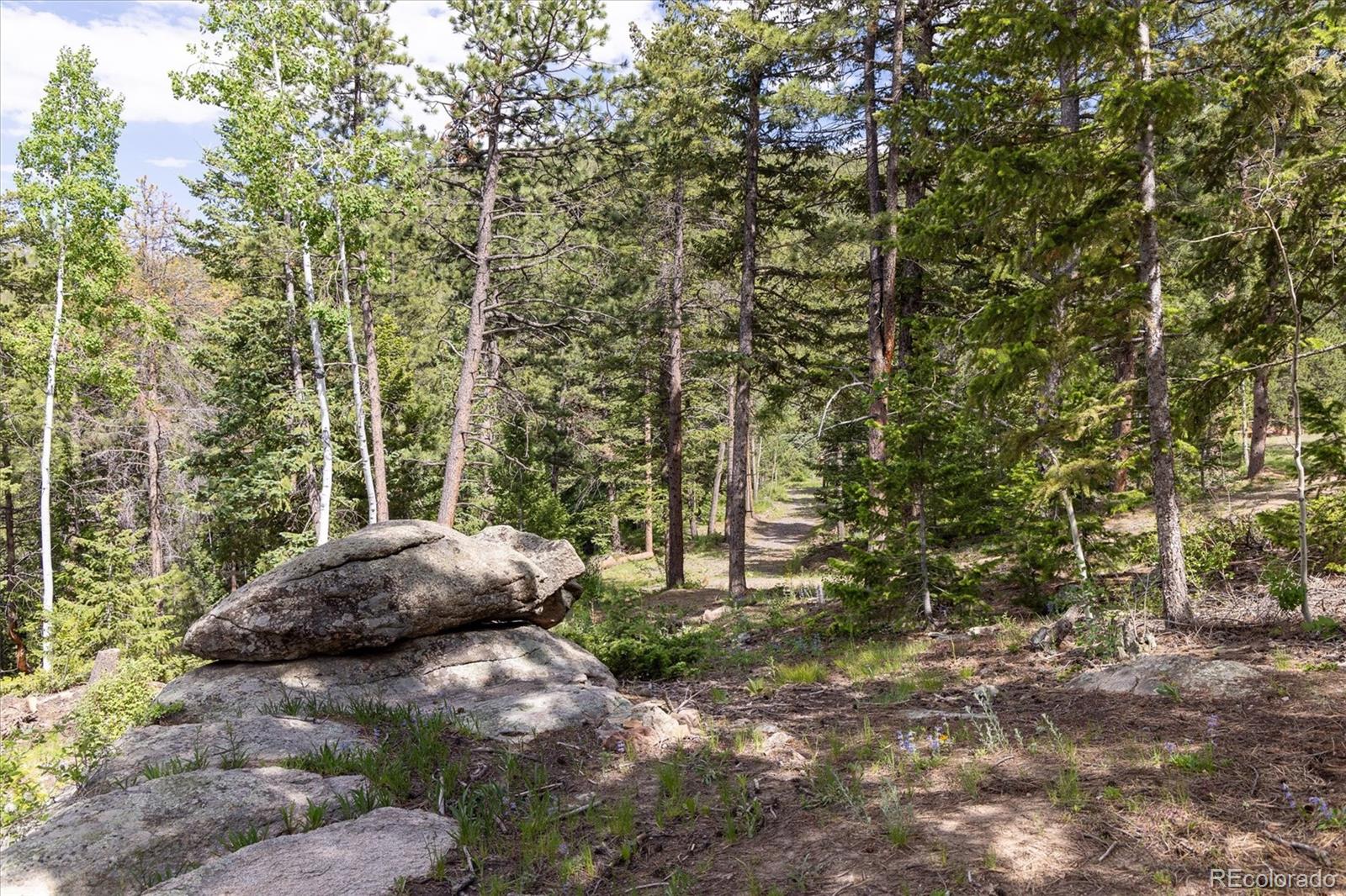 31429 Burke Road Golden CO 80403