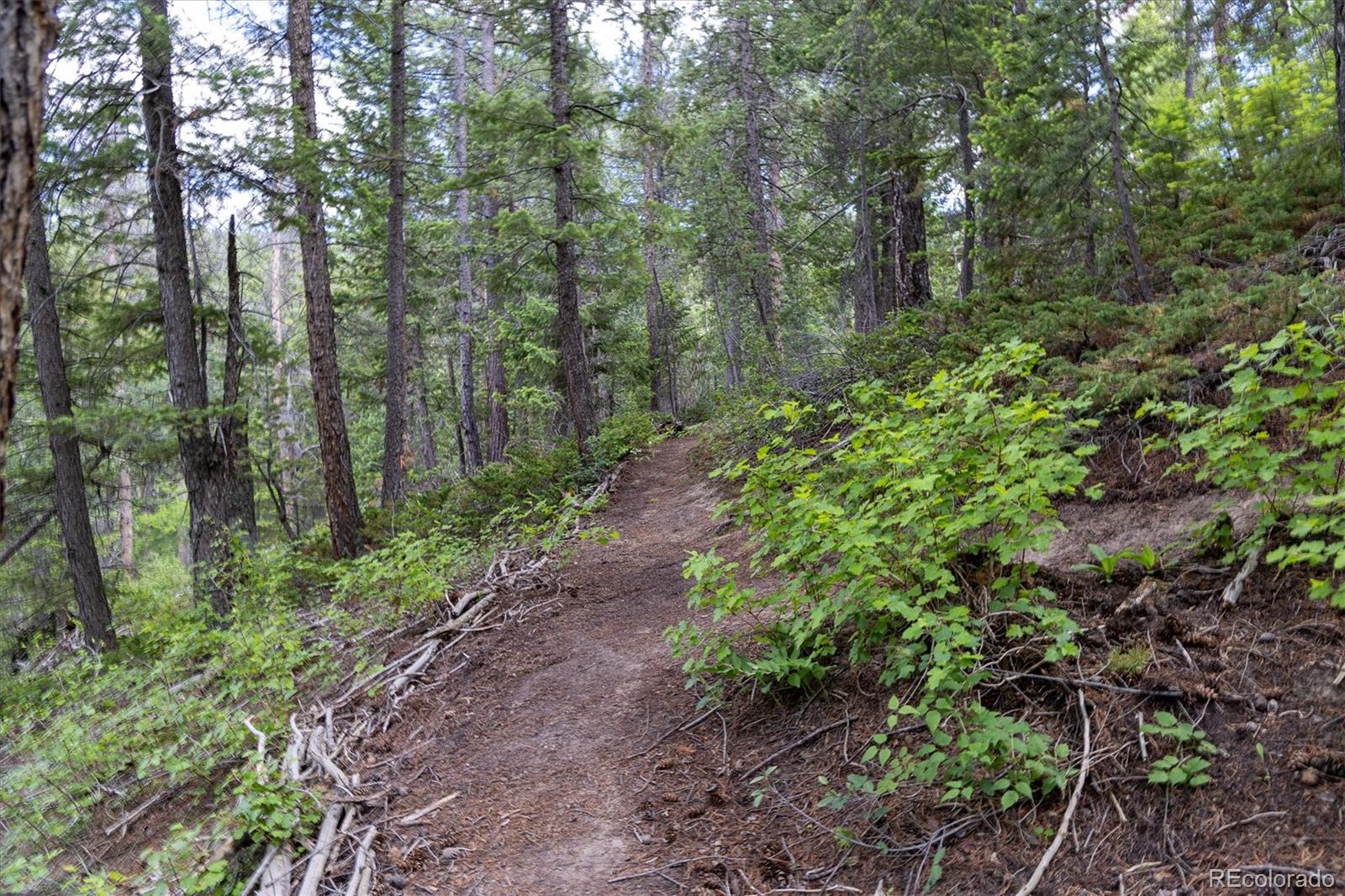 31429 Burke Road Golden CO 80403