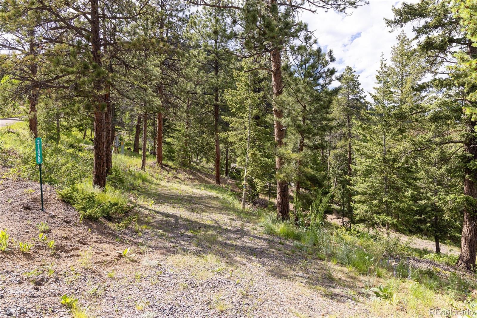 31429 Burke Road Golden CO 80403