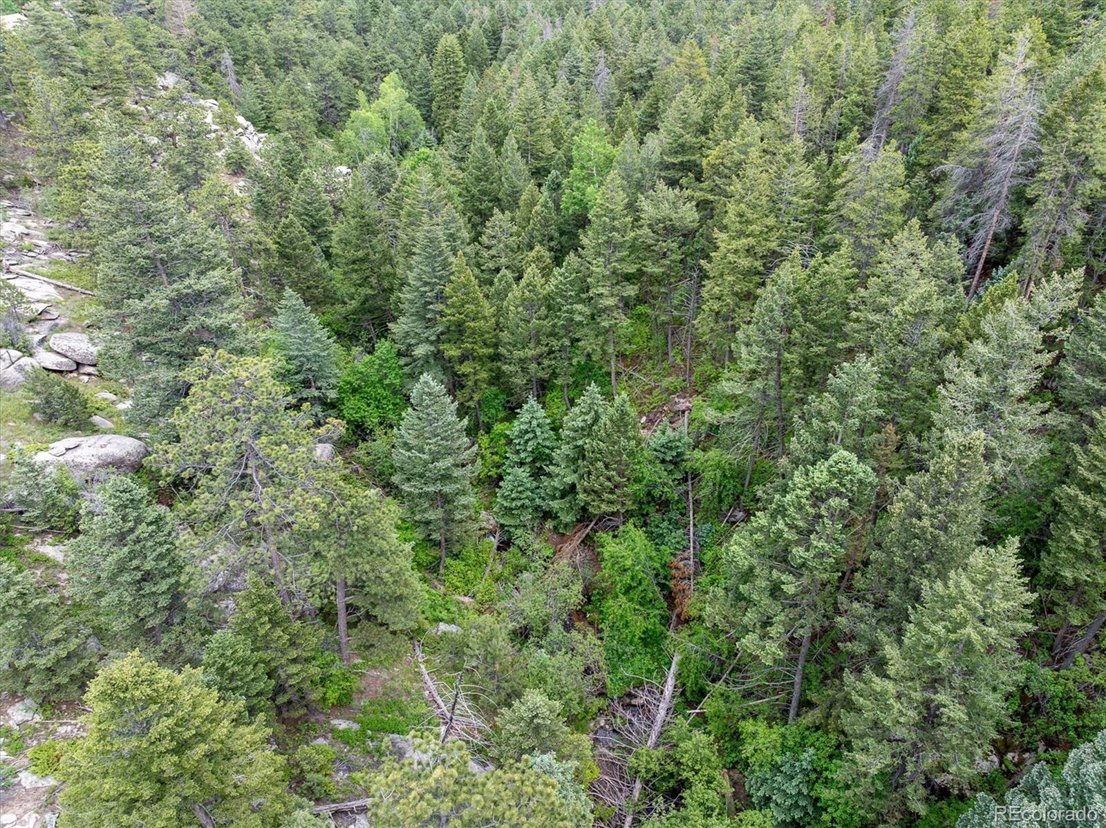 31429 Burke Road Golden CO 80403