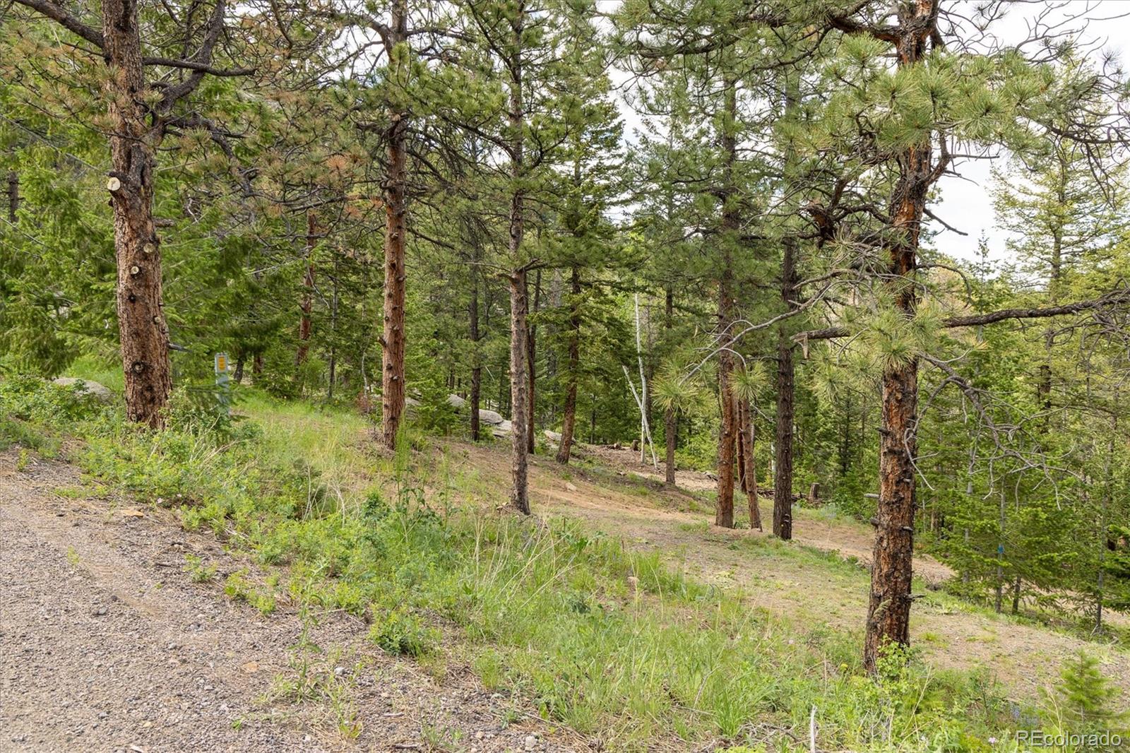 31429 Burke Road Golden CO 80403