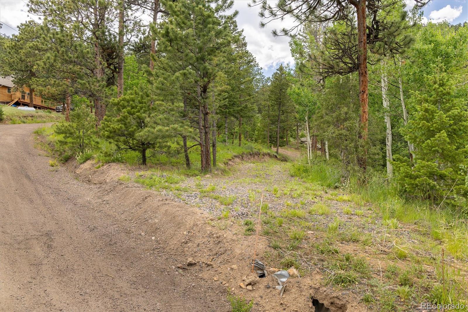 31429 Burke Road Golden CO 80403