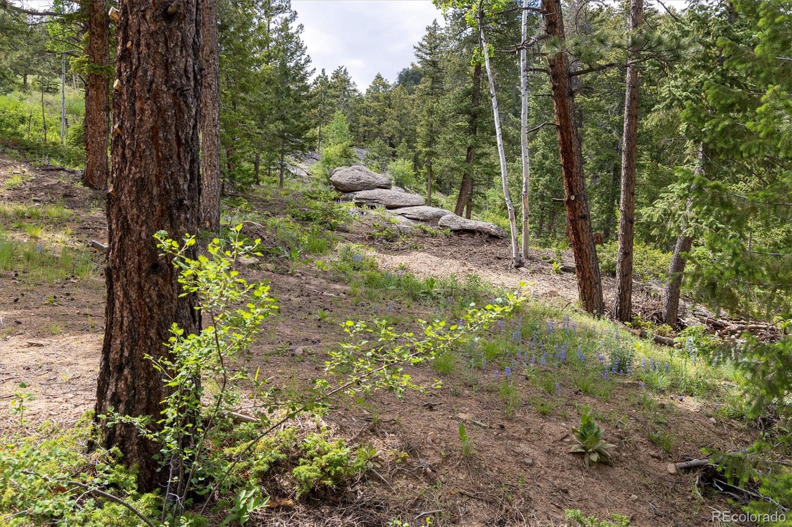 31429 Burke Road Golden CO 80403