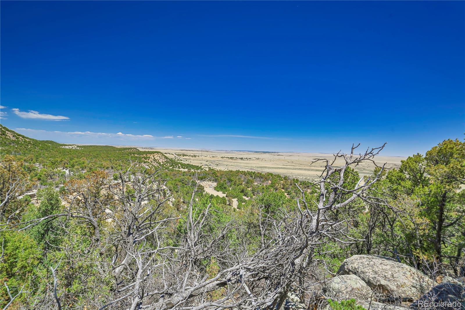 Rikki Rowdy Place Aguilar CO 81020