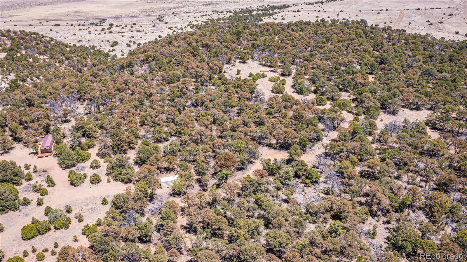 Rikki Rowdy Place Aguilar CO 81020