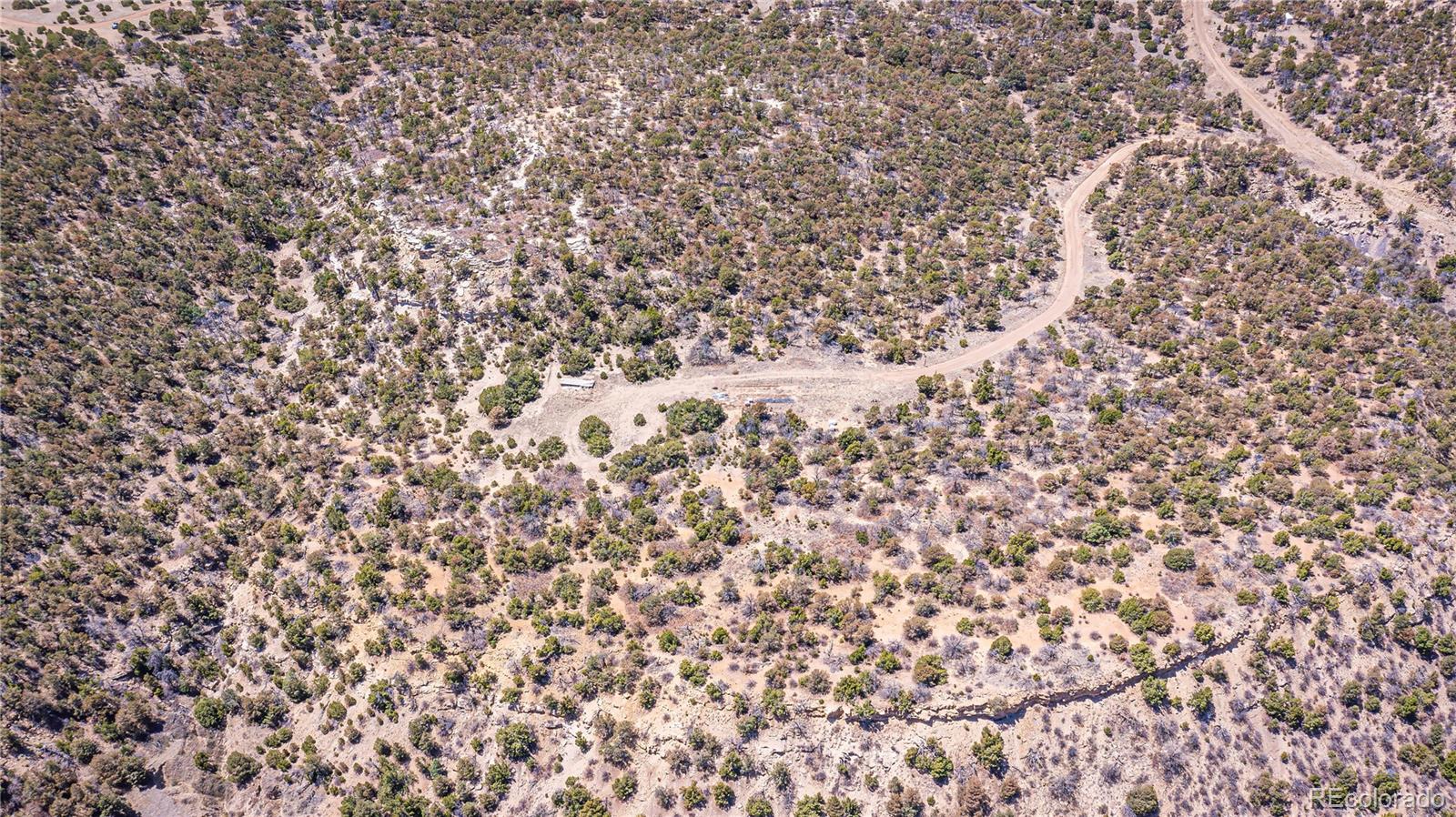 Rikki Rowdy Place Aguilar CO 81020