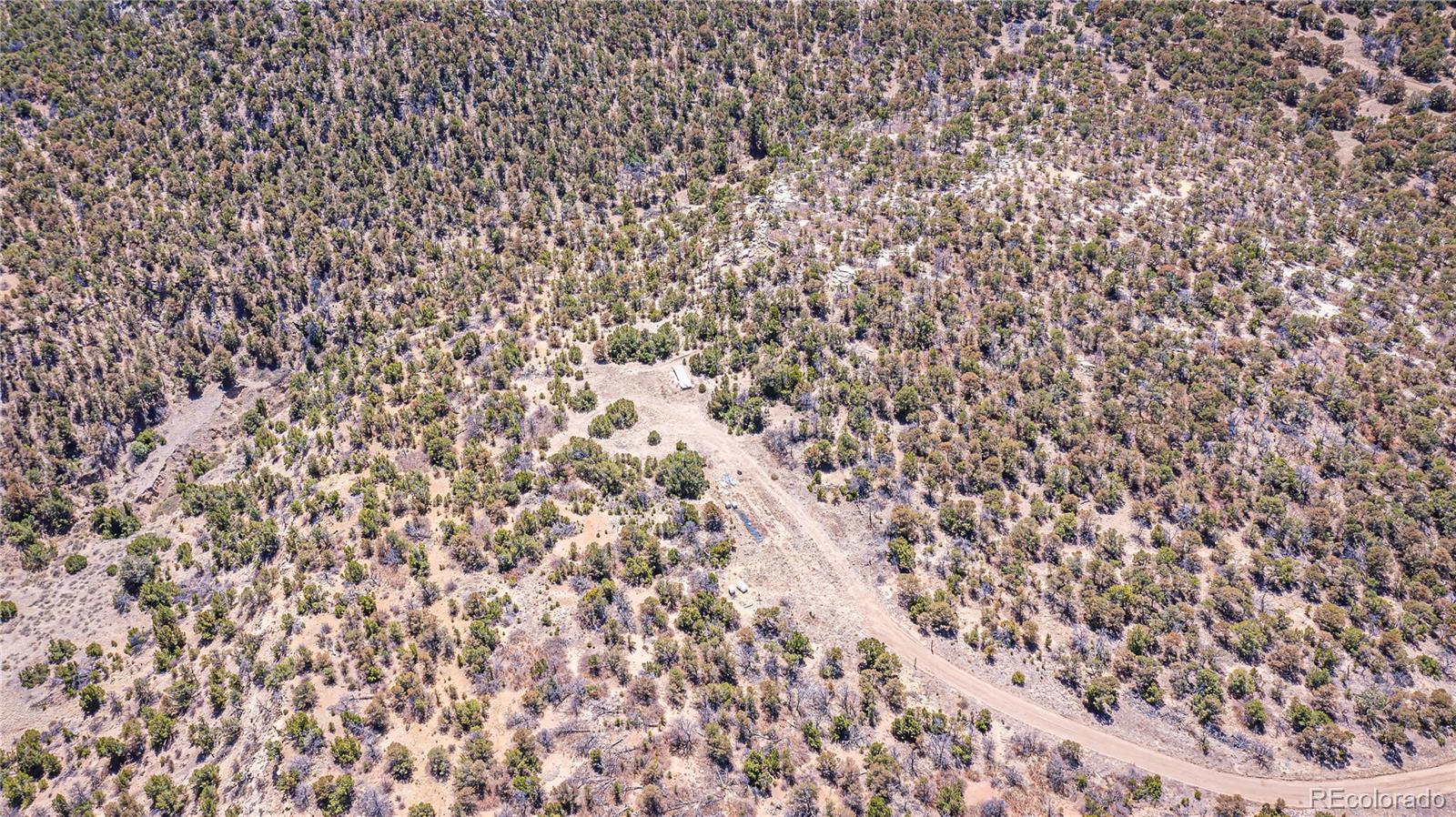 Rikki Rowdy Place Aguilar CO 81020