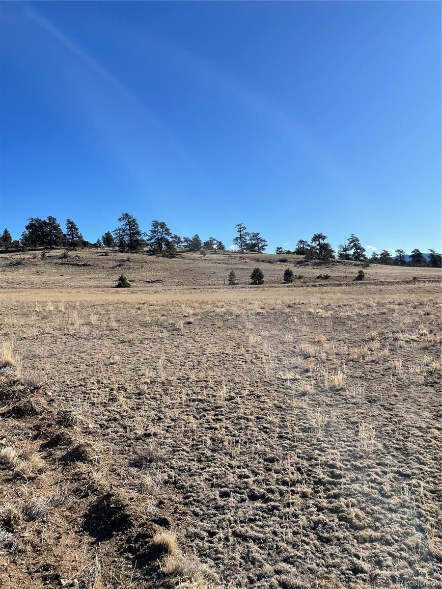 1260 Goldenburg Canyon Road Hartsel CO 80449