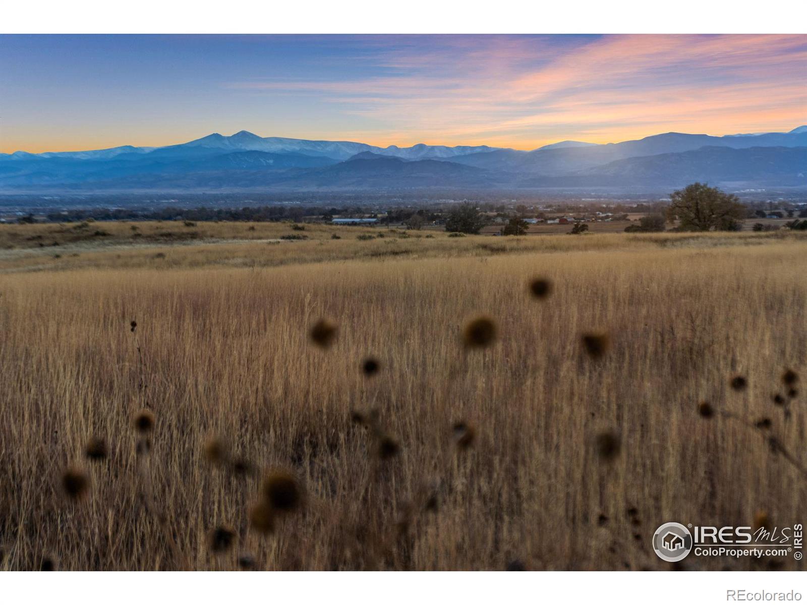 7913 County Road 84 Fort Collins CO 80524