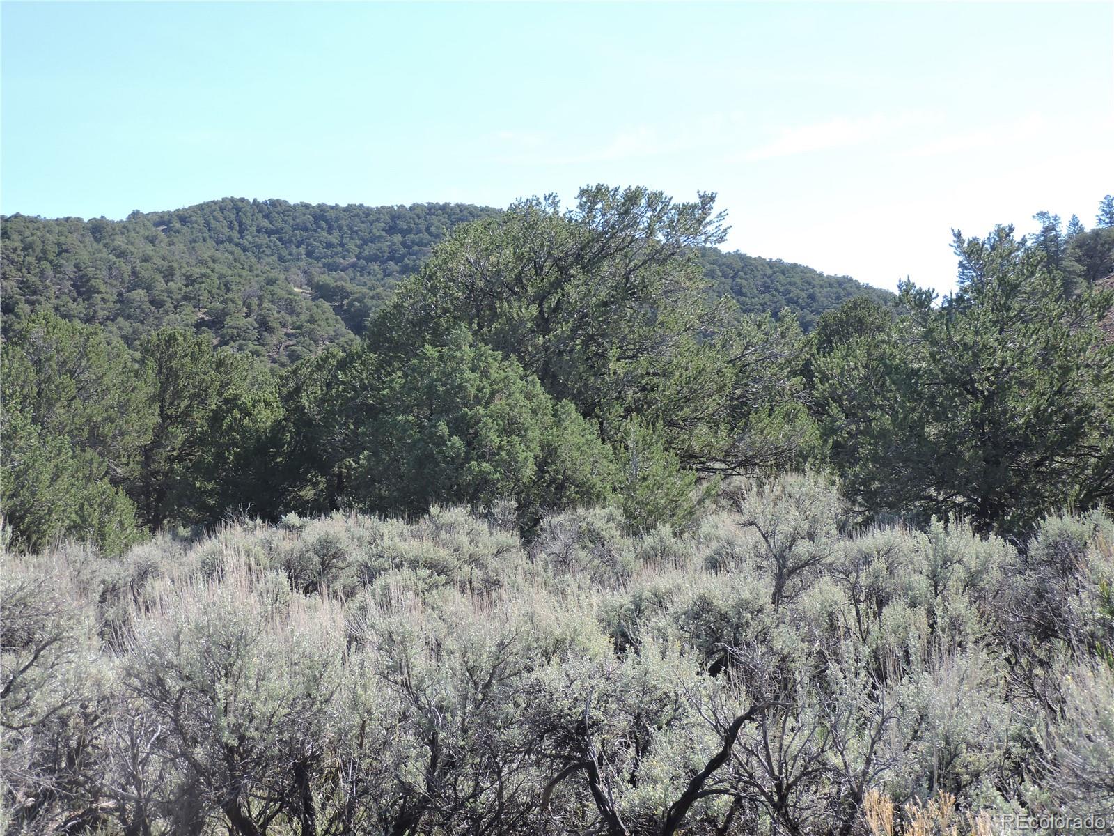 Lot 7563 Dolder Road Fort Garland CO 81133