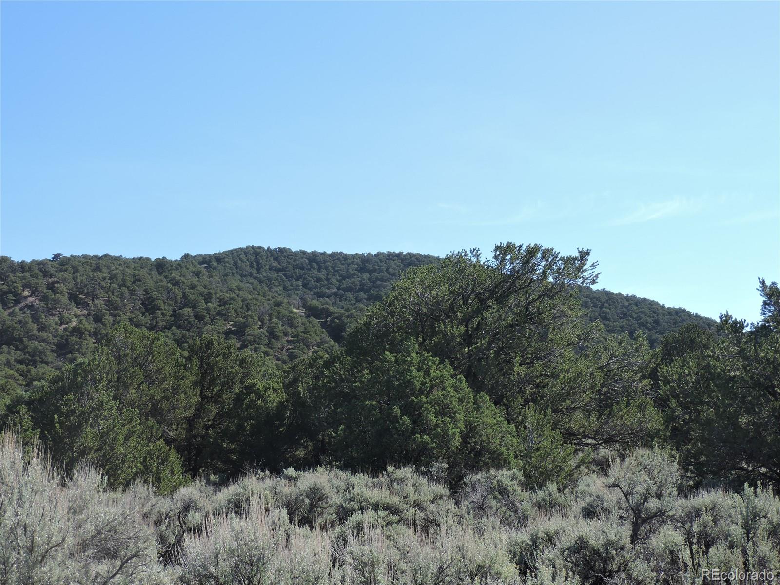 Lot 7563 Dolder Road Fort Garland CO 81133