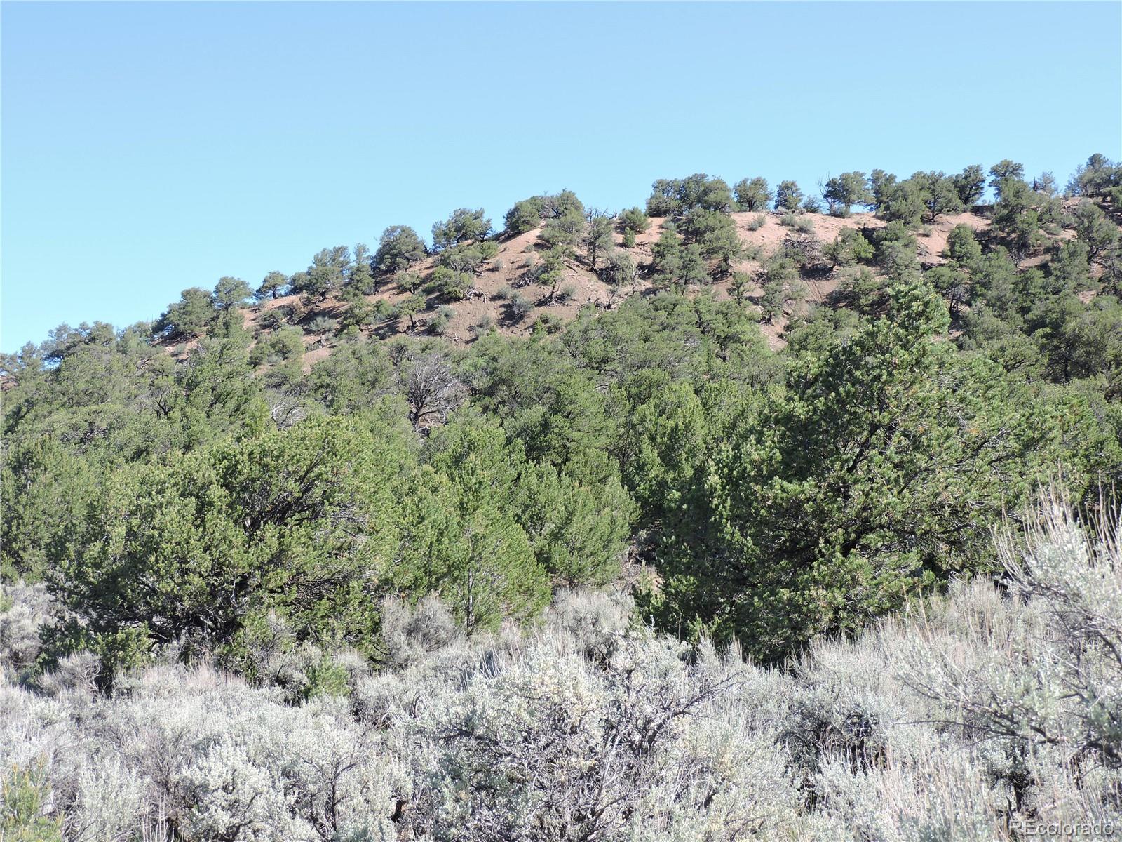 Lot 7563 Dolder Road Fort Garland CO 81133