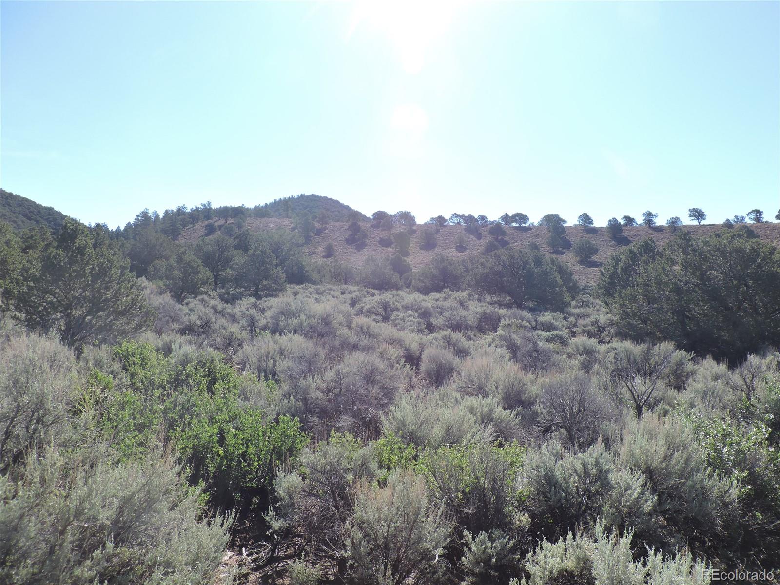 Lot 7563 Dolder Road Fort Garland CO 81133