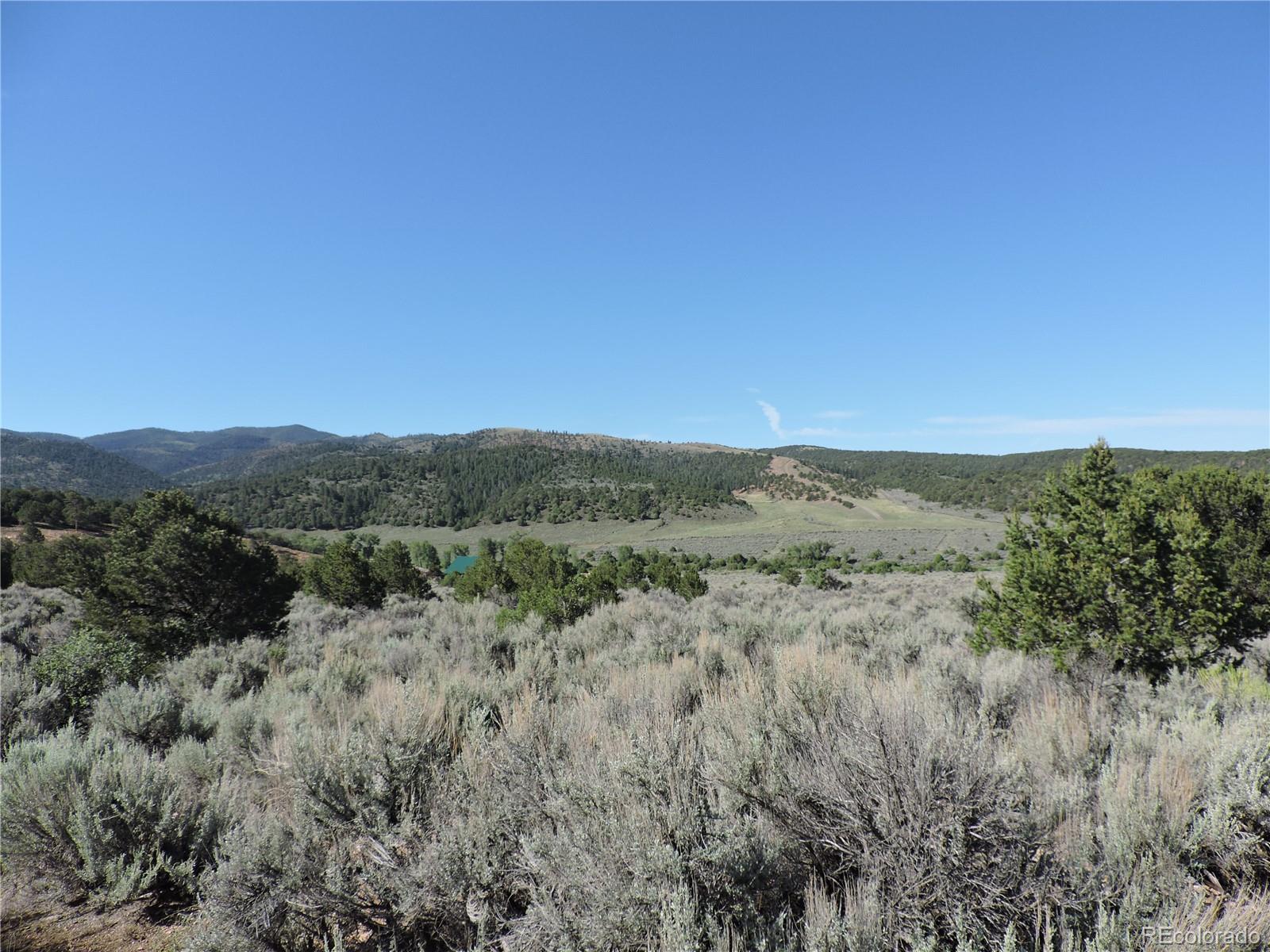 Lot 7563 Dolder Road Fort Garland CO 81133