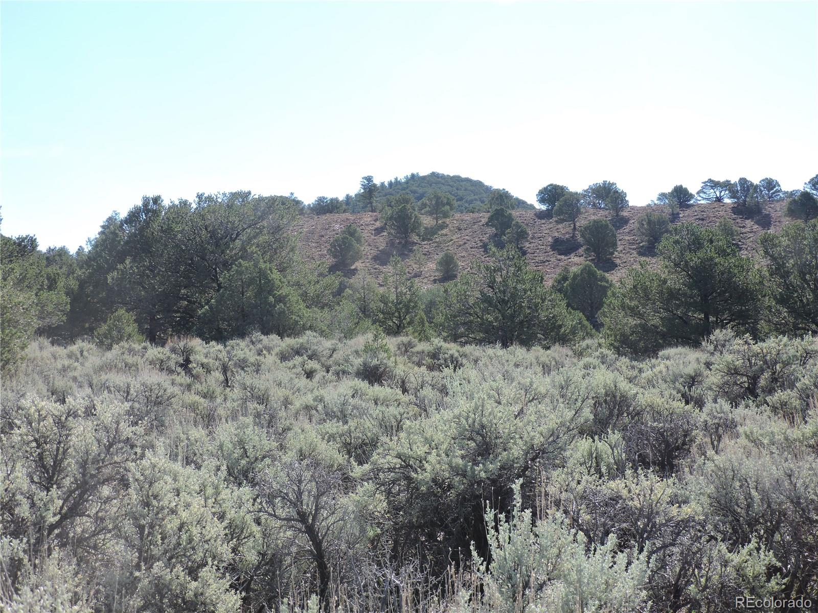 Lot 7563 Dolder Road Fort Garland CO 81133