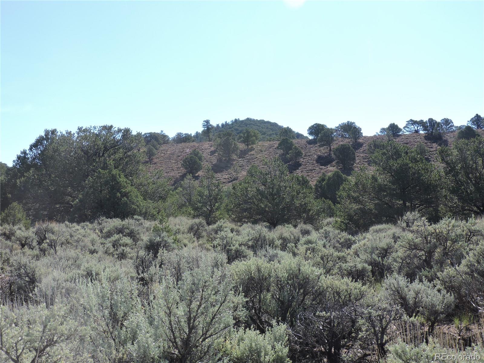 Lot 7563 Dolder Road Fort Garland CO 81133
