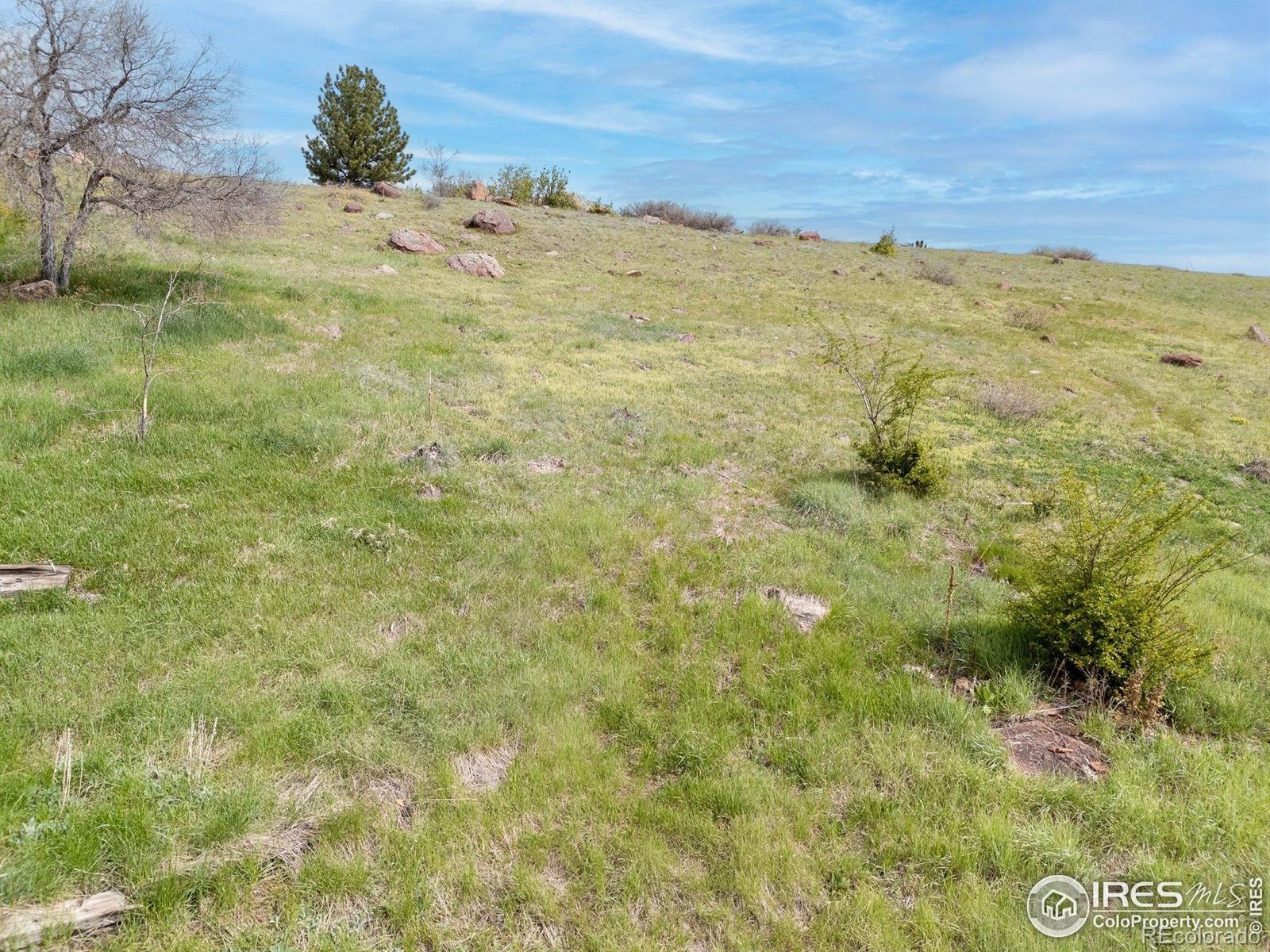 1965 Kohler Drive Boulder CO 80305