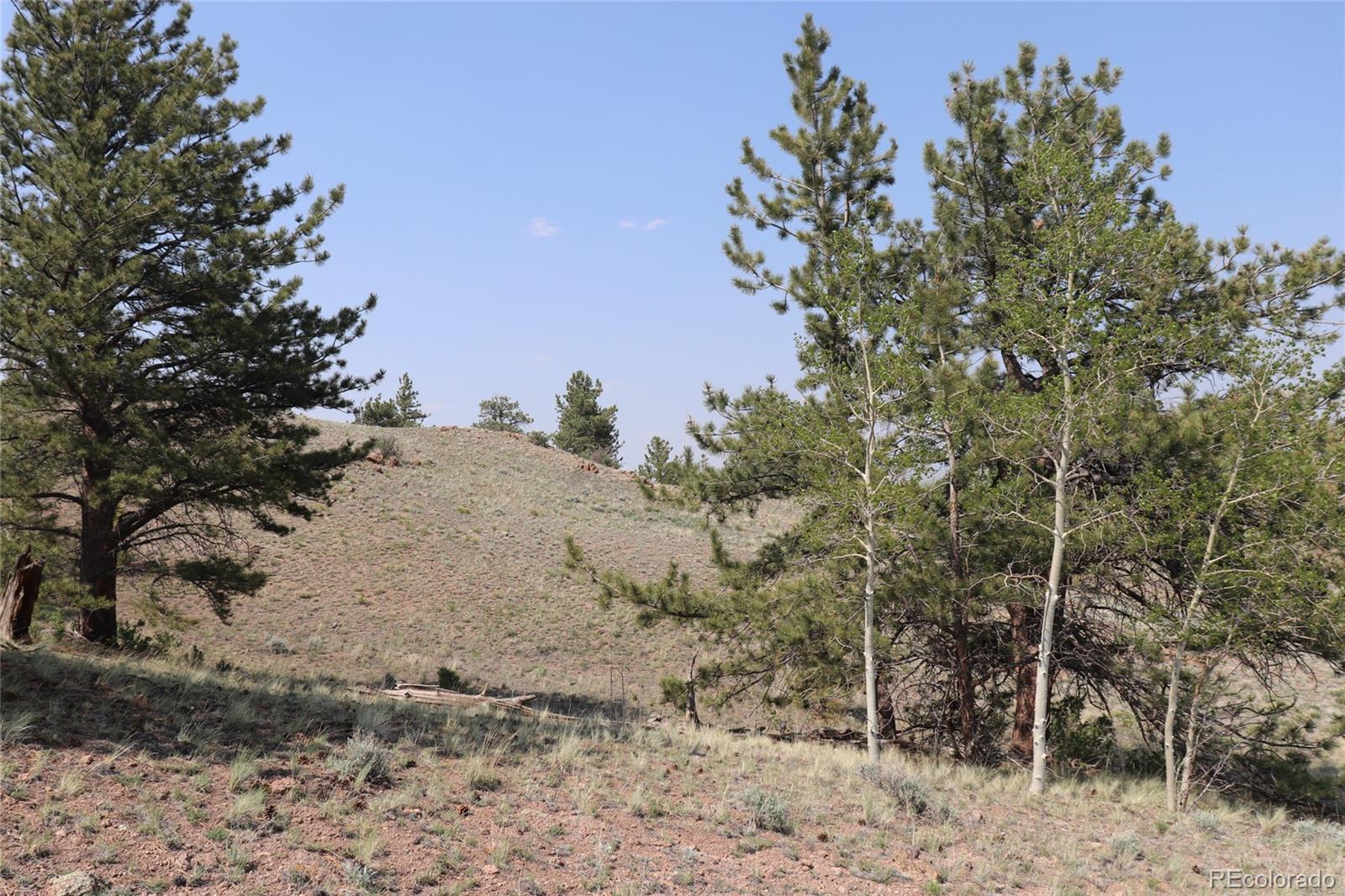 687 Corral Road Hartsel CO 80449