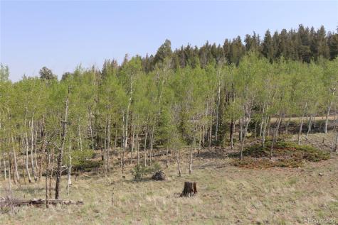 687 Corral Road Hartsel CO 80449