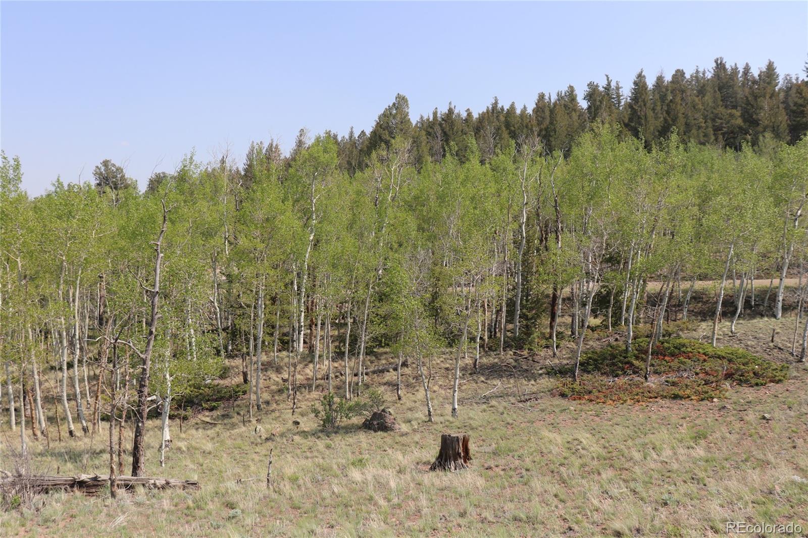 687 Corral Road Hartsel CO 80449