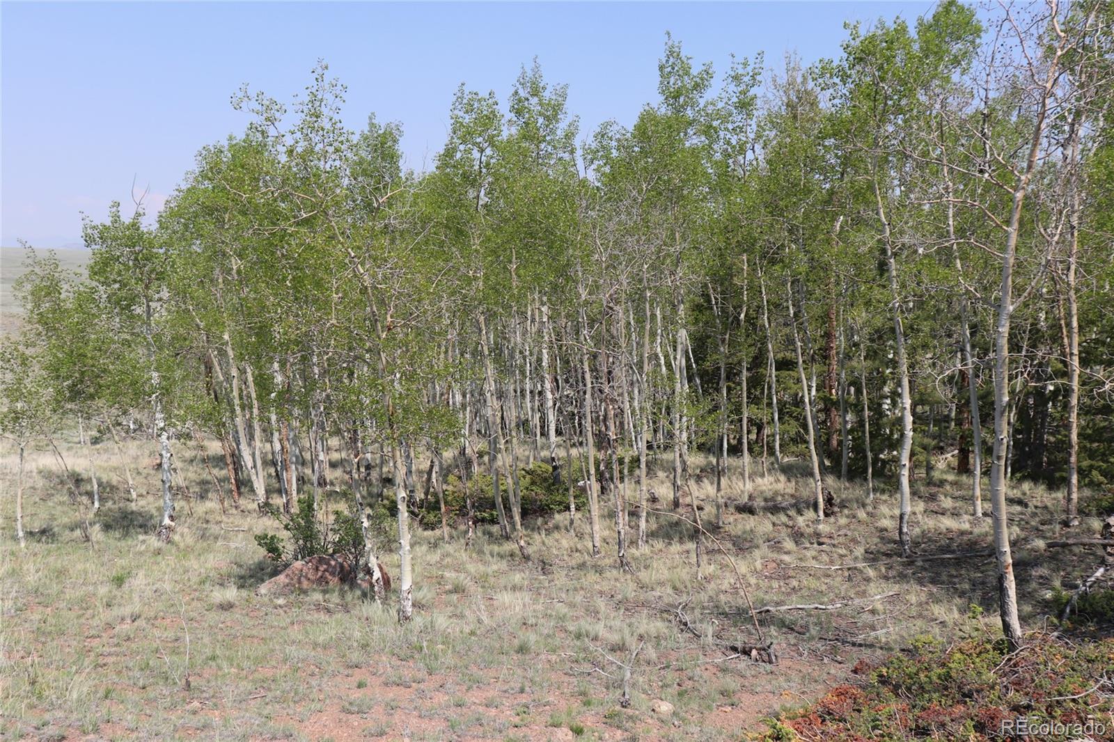 687 Corral Road Hartsel CO 80449