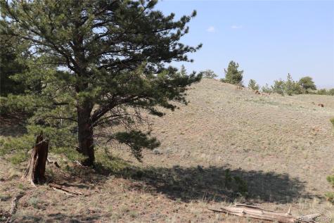 687 Corral Road Hartsel CO 80449