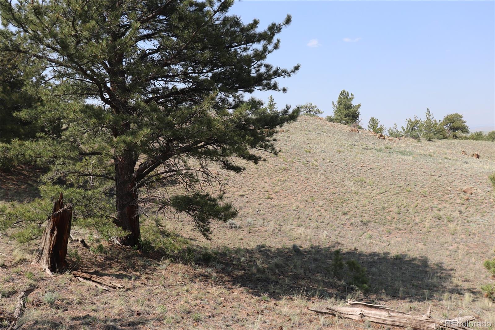 687 Corral Road Hartsel CO 80449