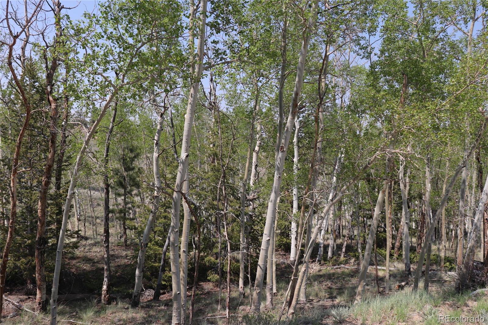 687 Corral Road Hartsel CO 80449