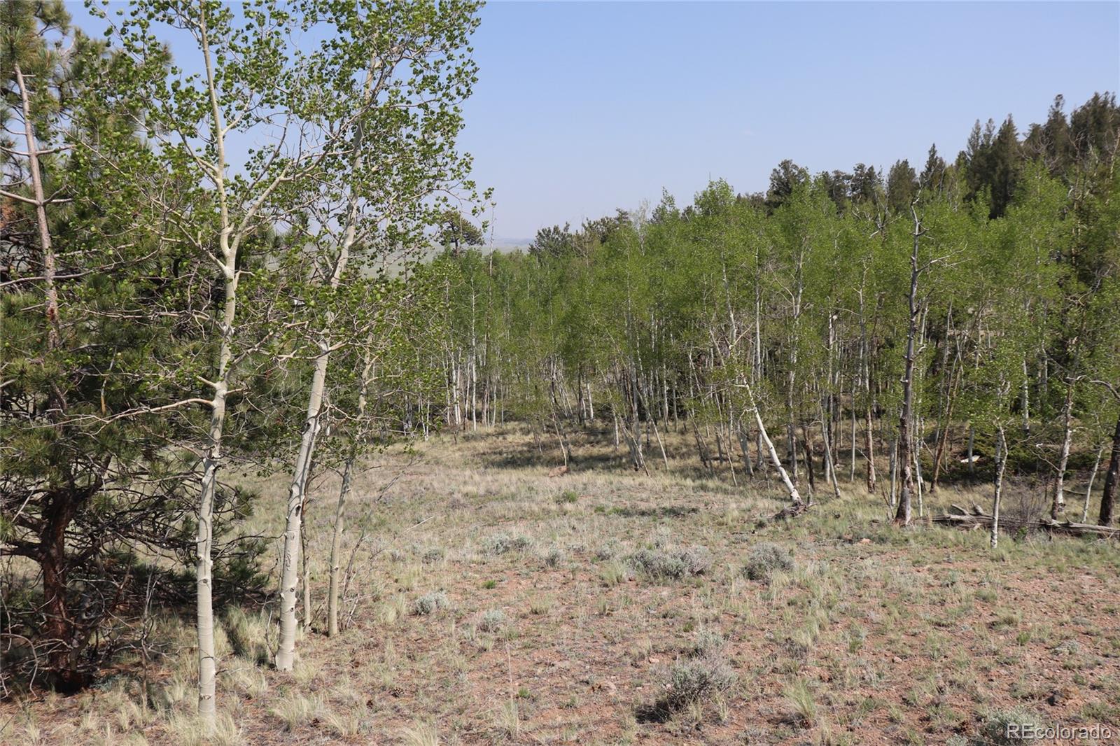 687 Corral Road Hartsel CO 80449