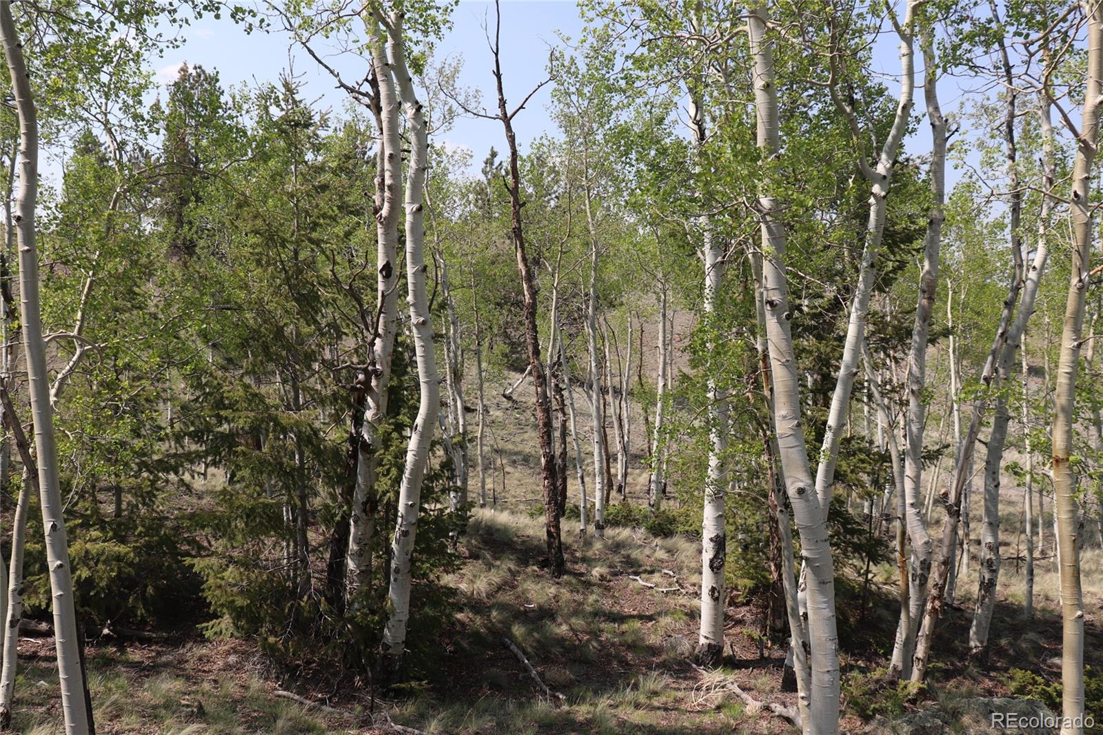 687 Corral Road Hartsel CO 80449